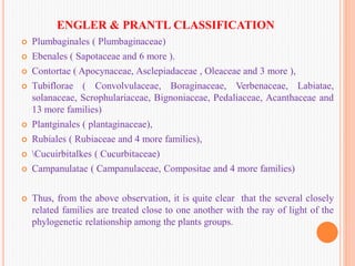 ENGLER & PRANTL CLASSIFICATION
 Plumbaginales ( Plumbaginaceae)
 Ebenales ( Sapotaceae and 6 more ).
 Contortae ( Apocynaceae, Asclepiadaceae , Oleaceae and 3 more ),
 Tubiflorae ( Convolvulaceae, Boraginaceae, Verbenaceae, Labiatae,
solanaceae, Scrophulariaceae, Bignoniaceae, Pedaliaceae, Acanthaceae and
13 more families)
 Plantginales ( plantaginaceae),
 Rubiales ( Rubiaceae and 4 more families),
 Cucuirbitalkes ( Cucurbitaceae)
 Campanulatae ( Campanulaceae, Compositae and 4 more families)
 Thus, from the above observation, it is quite clear that the several closely
related families are treated close to one another with the ray of light of the
phylogenetic relationship among the plants groups.
 
