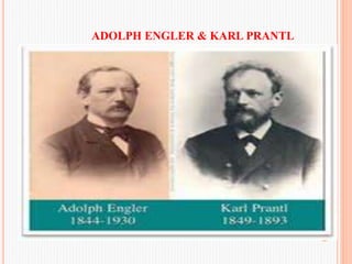 ADOLPH ENGLER & KARL PRANTL
 