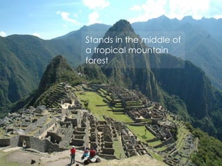 Stands in the middle of
a tropical mountain
forest
 