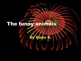 The funny animals
By Daria R.

 