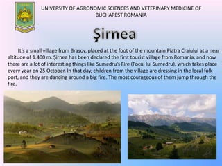 UNIVERSITY OF AGRONOMIC SCIENCES AND VETERINARY MEDICINE OF
BUCHAREST ROMANIA
It’s a small village from Brasov, placed at the foot of the mountain Piatra Craiului at a near
altitude of 1.400 m. Şirnea has been declared the first tourist village from Romania, and now
there are a lot of interesting things like Sumedru’s Fire (Focul lui Sumedru), which takes place
every year on 25 October. In that day, children from the village are dressing in the local folk
port, and they are dancing around a big fire. The most courageous of them jump through the
fire.
 