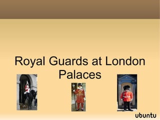 Royal Guards at London Palaces 