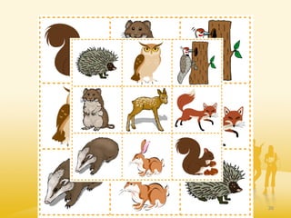 What’s different?
(c ) Dr.Claudia Mewald 39
 