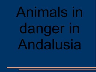 Animals in danger in Andalusia 