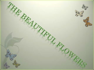 The beautiful flowers