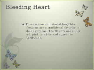 BleedingHeartThesewhimsical, almostfairy-likeblossomsareatraditionalfavoriteinshadygardens. Theflowersareeitherred, pinkorwhiteandappearinApril-June.