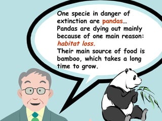 One specie in danger of
extinction are pandas…
Pandas are dying out mainly
because of one main reason:
habitat loss.
Their main source of food is
bamboo, which takes a long
time to grow.
 