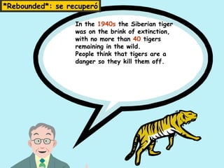 *Rebounded*: se recuperó

                  In the 1940s the Siberian tiger
                  was on the brink of extinction,
                  with no more than 40 tigers
                  remaining in the wild.
                  People think that tigers are a
                  danger so they kill them off.
 