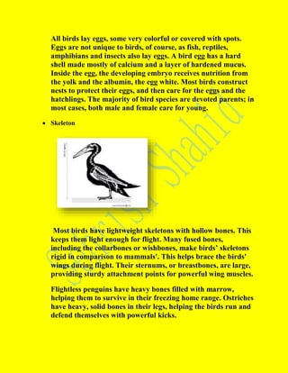 All birds lay eggs, some very colorful or covered with spots.
Eggs are not unique to birds, of course, as fish, reptiles,
amphibians and insects also lay eggs. A bird egg has a hard
shell made mostly of calcium and a layer of hardened mucus.
Inside the egg, the developing embryo receives nutrition from
the yolk and the albumin, the egg white. Most birds construct
nests to protect their eggs, and then care for the eggs and the
hatchlings. The majority of bird species are devoted parents; in
most cases, both male and female care for young.
 Skeleton
Most birds have lightweight skeletons with hollow bones. This
keeps them light enough for flight. Many fused bones,
including the collarbones or wishbones, make birds’ skeletons
rigid in comparison to mammals'. This helps brace the birds'
wings during flight. Their sternums, or breastbones, are large,
providing sturdy attachment points for powerful wing muscles.
Flightless penguins have heavy bones filled with marrow,
helping them to survive in their freezing home range. Ostriches
have heavy, solid bones in their legs, helping the birds run and
defend themselves with powerful kicks.
 