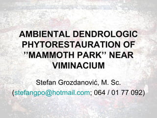 AMBIENTAL DENDROLOGIC 
PHYTORESTAURATION OF 
’’MAMMOTH PARK’’ NEAR 
VIMINACIUM 
Stefan Grozdanović, M. Sc. 
(stefangpo@hotmail.com; 064 / 01 77 092) 
 