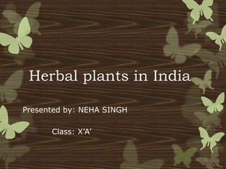 Herbal plants in India
.Presented by: NEHA SINGH
Class: X’A’
 