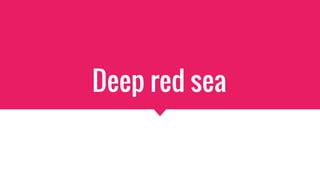 Deep red sea
 