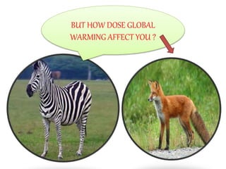 BUT HOW DOSE GLOBAL
WARMING AFFECT YOU ?