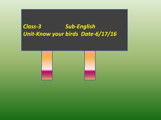 Class-3 Sub-English
Unit-Know your birds Date-6/17/16
 
