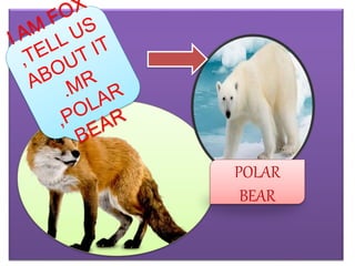 POLAR
BEAR
 
