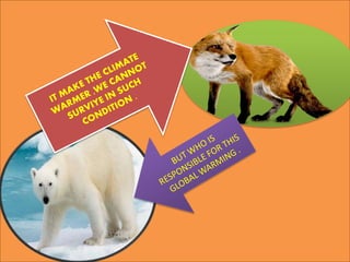 ANIMALS MEETING