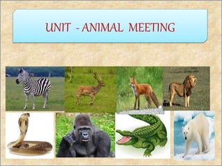 UNIT - ANIMAL MEETING
 