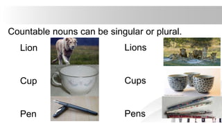 Countable nouns can be singular or plural.
Lion
Cup
Pen
Lions
Cups
Pens
 
