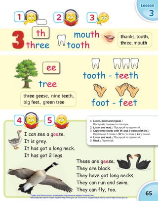 1 Listen, point and repeat. /
Послухай, покажи та повтори.
2 Listen and read. / Послухай та прочитай.
3 Copy three words with ‘th’ and 3 words with ‘ee’. /
Перепиши 3 слова з ‘th’ та 3 слова з ‘ee’ у зошит.
4 Listen and read. / Послухай та прочитай.
5 Read. / Прочитай.
65
3
3
3
Lesson
Lesson
Lesson
1 3
2
4 5
These are geese.
They are black.
They have got long necks.
They can run and swim.
They can fly, too.
I can see a goose.
It is grey.
It has got a long neck.
It has got 2 legs.
three
mouth
tooth
th
ee
thanks, tooth,
three, mouth
three geese, nine teeth,
big feet, green tree
tooth - teeth
foot - feet
tree
It has got a long neck.
It has got 2 legs.
se.
Право для безоплатного розміщення підручника в мережі Інтернет має
Міністерство освіти і науки України http://mon.gov.ua/ та Інститут модернізації змісту освіти https://imzo.gov.ua
 