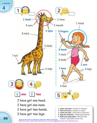 1 Listen and point. / Слухай та показуй.
2 Point and name. / Покажи та назви.
3 Listen and read. / Послухай та прочитай.
4 Copy the sentences. / Перепиши речення.
5 Make your body poster. / Виготуй свій
постер з підписами частин тіла.
66
4
4
4
Lesson
Lesson
Lesson
6 legs
9 fingers
I have got one head.
I have got one nose.
I have got two hands.
I have got two legs.
1 2
3 4
5
1 2
one two
6 legs
1
fingers
1 head
1 head
9 ears
4 eyes
2 nose
3 mouth
8 neck
7 neck
5 body
7 tail
3 legs
5 toes
4 feet
6 body
2 arm
8 hand
Право для безоплатного розміщення підручника в мережі Інтернет має
Міністерство освіти і науки України http://mon.gov.ua/ та Інститут модернізації змісту освіти https://imzo.gov.ua
 