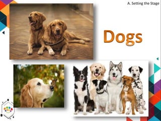 Generalize Dog Example English 5-q2-week-7-make-generalizations-by-sir-rei-marasigan | PPSX