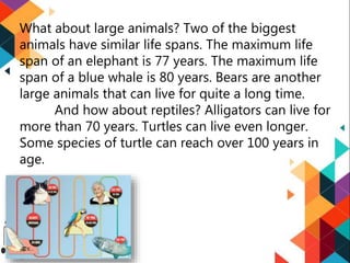 Turtle Max Age English 5-q2-week-7-make-generalizations-by-sir-rei-marasigan | PPSX