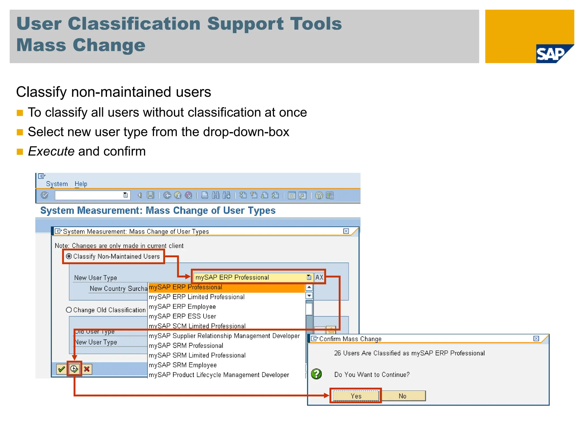 User Classification Support Tools
Mass Change
Classify non-maintained users
 To classify all users without classification at once
 Select new user type from the drop-down-box
 Execute and confirm
 