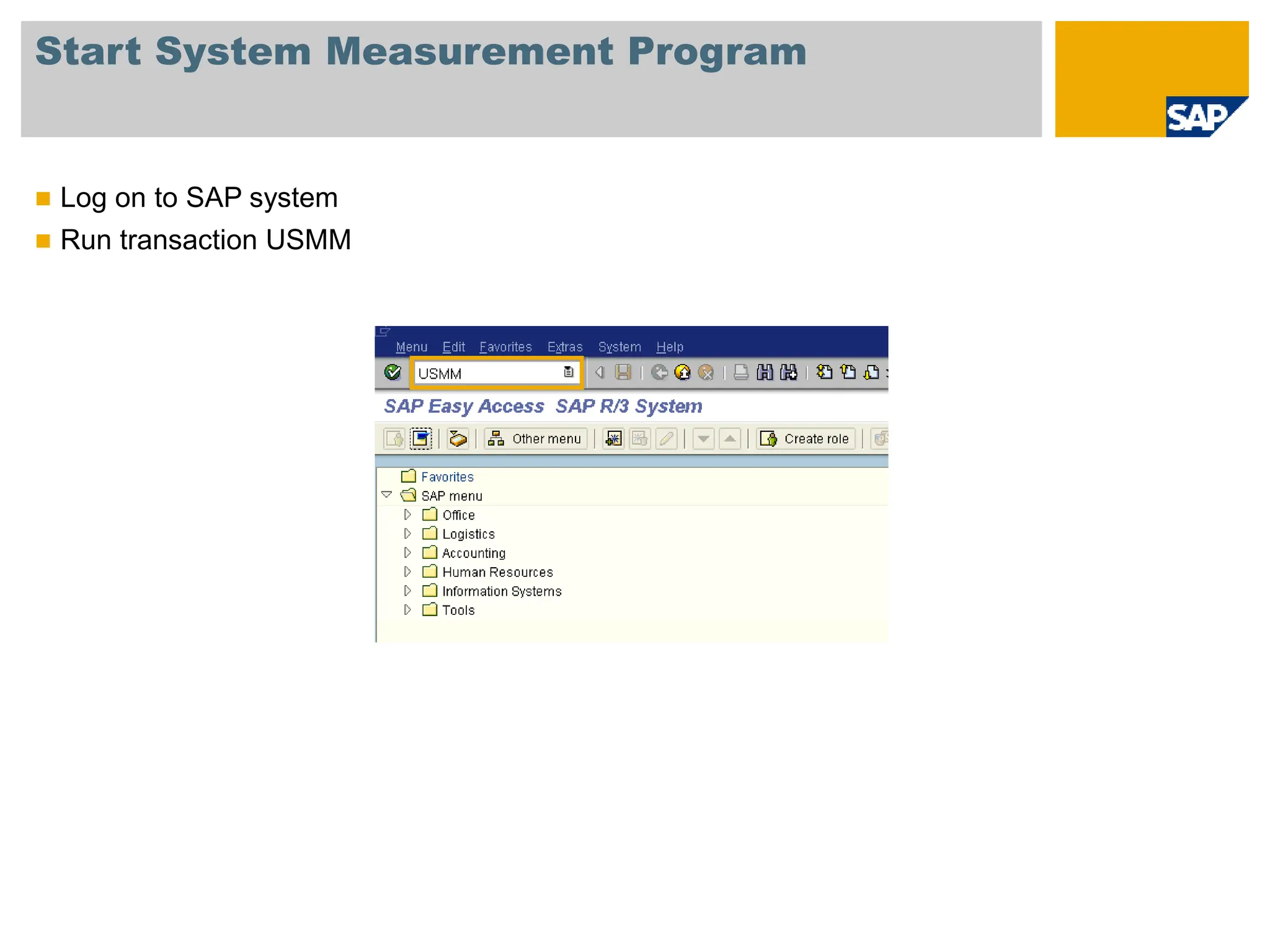 Start System Measurement Program
 Log on to SAP system
 Run transaction USMM
 