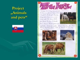 Project  „Animals  and pets“ 