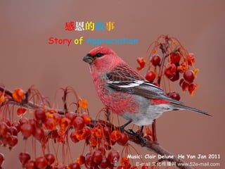 感恩的故事 
Music: Clair Delune He Yan Jan 2011
 Story of Appreciation
E-mail 文化传播网 www.52e-mail.com
 