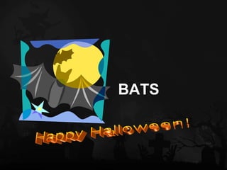 <ul><li>BATS </li></ul>Happy Halloween! 