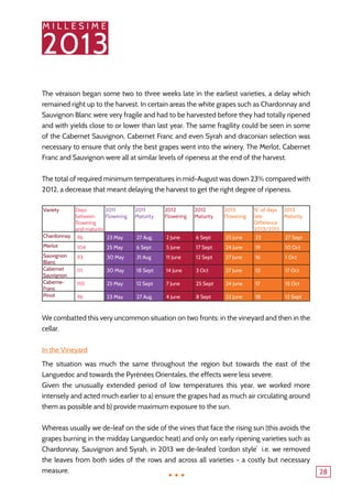 M I L L E S I M E
2013
28
The véraison began some two to three weeks late in the earliest varieties, a delay which
remained right up to the harvest. In certain areas the white grapes such as Chardonnay and
Sauvignon Blanc were very fragile and had to be harvested before they had totally ripened
and with yields close to or lower than last year. The same fragility could be seen in some
of the Cabernet Sauvignon, Cabernet Franc and even Syrah and draconian selection was
necessary to ensure that only the best grapes went into the winery. The Merlot, Cabernet
Franc and Sauvignon were all at similar levels of ripeness at the end of the harvest.
The total of required minimum temperatures in mid-August was down 23% compared with
2012, a decrease that meant delaying the harvest to get the right degree of ripeness.
Variety Days
between
flowering
and maturity
2011
Flowering
2011
Maturity
2012
Flowering
2012
Maturity
2013
Flowering
N° of days
late.
Difference
2013/2012
2013
Maturity
Chardonnay 96 23 May 27 Aug 2 June 6 Sept 25 June 23 27 Sept
Merlot 104 25 May 6 Sept 5 June 17 Sept 24 June 19 10 Oct
Sauvignon
Blanc
93 30 May 31 Aug 11 June 12 Sept 27 June 16 1 Oct
Cabernet
Sauvignon
111 30 May 18 Sept 14 June 3 Oct 27 June 13 17 Oct
Caberne-
Franc
110 25 May 12 Sept 7 June 25 Sept 24 June 17 15 Oct
Pinot 96 23 May 27 Aug 4 June 8 Sept 22 June 18 12 Sept
We combatted this very uncommon situation on two fronts: in the vineyard and then in the
cellar.
In the Vineyard
The situation was much the same throughout the region but towards the east of the
Languedoc and towards the Pyrénées Orientales, the effects were less severe.
Given the unusually extended period of low temperatures this year, we worked more
intensely and acted much earlier to a) ensure the grapes had as much air circulating around
them as possible and b) provide maximum exposure to the sun.
Whereas usually we de-leaf on the side of the vines that face the rising sun (this avoids the
grapes burning in the midday Languedoc heat) and only on early ripening varieties such as
Chardonnay, Sauvignon and Syrah, in 2013 we de-leafed ‘cordon style’ i.e. we removed
the leaves from both sides of the rows and across all varieties - a costly but necessary
measure. ...
 