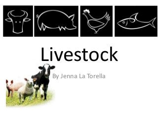 Livestock
 By Jenna La Torella
 