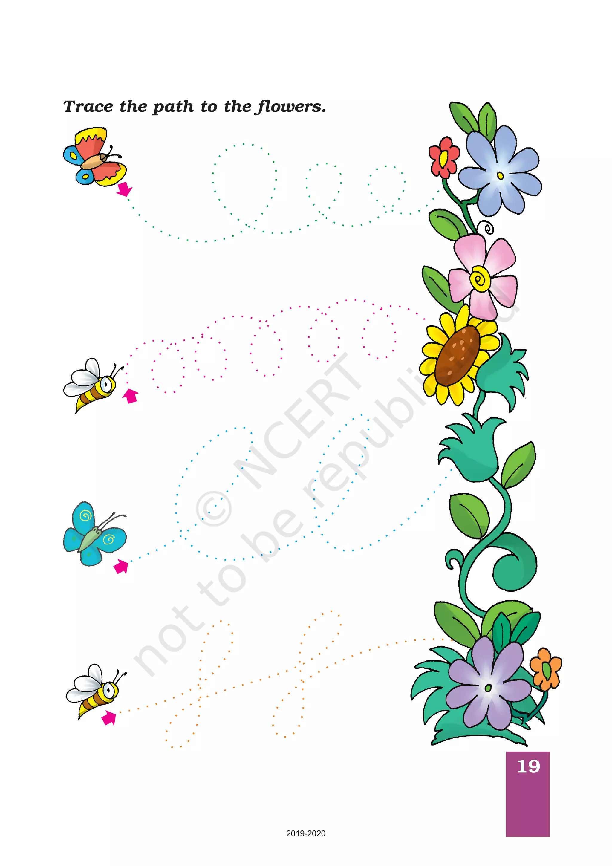 19
Trace the path to the flowers.
2019-2020
 