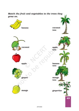 49
Match the fruit and vegetables to the trees they
grow on.
coconut
tree
grapevine
banana
tree
mango
tree
apple
tree
coconut
apple
grapes
mango
banana
2019-2020
 