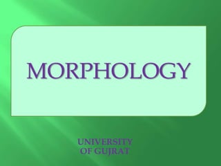 MORPHOLOGY
UNIVERSITY
OF GUJRAT

 