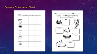 Sensory Observation Chart
 