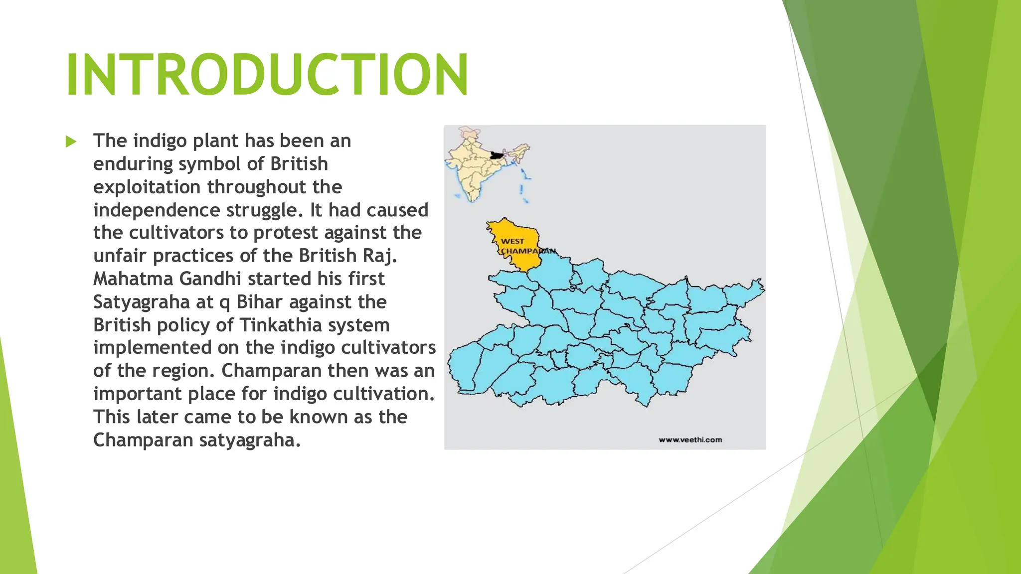 INTRODUCTION
 The indigo plant has been an
enduring symbol of British
exploitation throughout the
independence struggle. It had caused
the cultivators to protest against the
unfair practices of the British Raj.
Mahatma Gandhi started his first
Satyagraha at q Bihar against the
British policy of Tinkathia system
implemented on the indigo cultivators
of the region. Champaran then was an
important place for indigo cultivation.
This later came to be known as the
Champaran satyagraha.
 