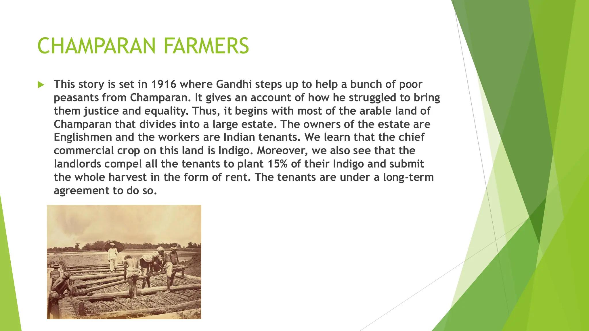 CHAMPARAN FARMERS
 This story is set in 1916 where Gandhi steps up to help a bunch of poor
peasants from Champaran. It gives an account of how he struggled to bring
them justice and equality. Thus, it begins with most of the arable land of
Champaran that divides into a large estate. The owners of the estate are
Englishmen and the workers are Indian tenants. We learn that the chief
commercial crop on this land is Indigo. Moreover, we also see that the
landlords compel all the tenants to plant 15% of their Indigo and submit
the whole harvest in the form of rent. The tenants are under a long-term
agreement to do so.
 