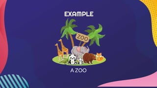 A ZOO