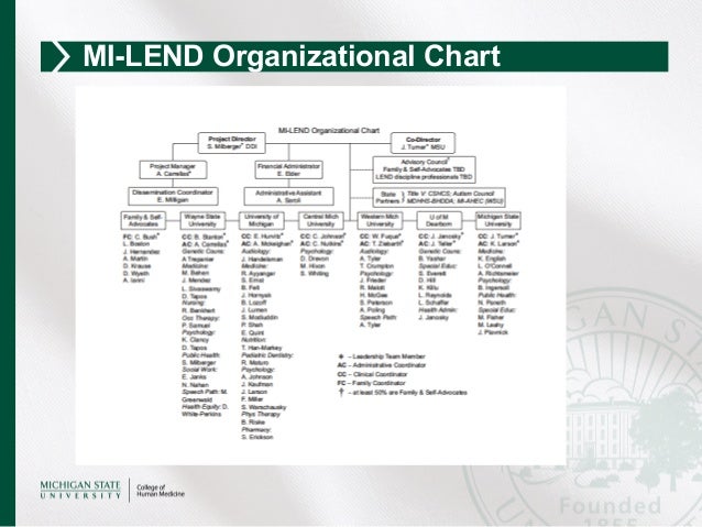 Mdhhs Organizational Chart