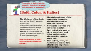 Englih entry levels and level 1 text features powerpoint | PPTX