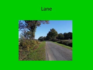 Lane
 