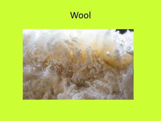 Wool
 