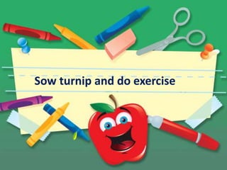 Sow turnip and do exercise
 