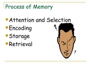 Process of Memory
 Attention and Selection
 Encoding
 Storage
 Retrieval
 