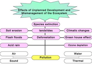 Effects of Unplanned Development and 
Mismanagement of the Ecosystem 
Soil erosion 
Flash floods 
Acid rain 
Climatic changes 
Green house effect 
Ozone depletion 
Species extinction 
landslides 
Deforestation 
Air Water 
Pollution 
Sound Thermal 
 