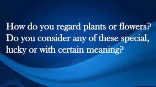 How do you regard plants or flowers?
Do you consider any of these special,
lucky or with certain meaning?
 