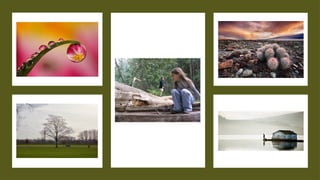 Interpreting Visuals Examples English 6 Quarter1 Week3 - Visual Interpretations.pptx