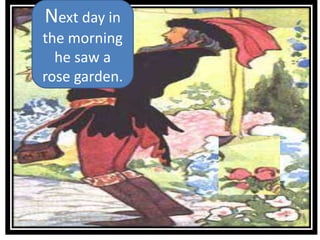 Next day in
the morning
he saw a
rose garden.
 